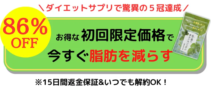 お腹の脂肪を落とすダイエットサプリをお得に試す